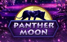Panther Moon - Funkygames