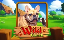 Wild Ranch - Kagaming2