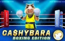 Cashybara Boxing Edition - Egt