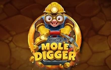 Mole Digger - Playngo