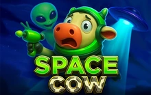 Space Cow - Playbro