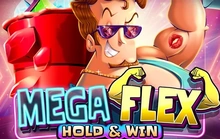 Mega Flex - Hold & Win - Penguinking_fizzy