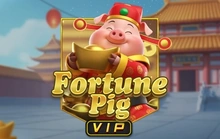 Fortune Pig VIP - Kagaming2