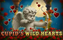 Cupids Wild Hearts - Fazi