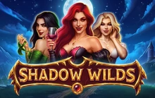 Shadow Wilds - Thunderspin