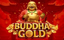 Buddha Gold - Amigo