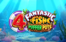 4 Fantastic Fish Puffer Pots - Yggdrasil
