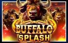 Buffalo Splash - Funkygames
