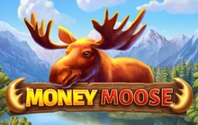 Money Moose - Boominggames