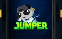 Jumper - Inout