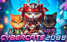 Cybercats 2088 - Amigo