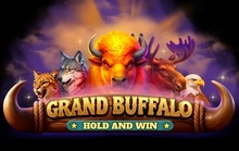 Grand Buffalo Hold and Win - Bgaming