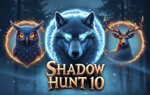 Shadow Hunt 10 - Fazi