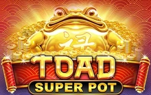 Toad Super Pot - Amusnet
