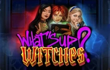 What's Up? Witches - Netent_evo