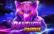Panthera Pardus - L22