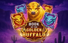 Book of the Golden Buffalo - Zillion