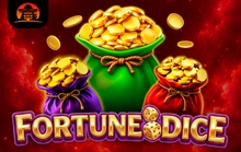 Fortune Bags Dice  - Amigo