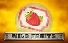 Wild Fruits - Endorphina-V2
