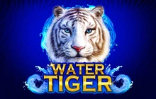 Water Tiger - Endorphina-V2