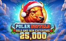 Booming Buffalo Hold and Win Extreme 25,000 - Boominggames