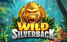 Wild Silverback - Boominggames