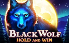 Black Wolf - 3Oaksgaming
