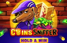 Coins Sniffer Hold and Win - 1Spin4win
