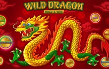 Wild Dragon Hold&Win - Amatic