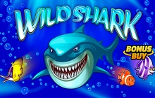 Wild Shark Bonus Buy - Amatic