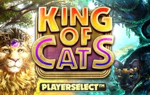 King of Cats Megaways - Btg_evo