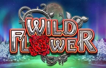 Wild Flower - Btg_evo