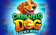 Caramelo Dog: Lucky Run - Evoplay