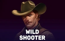 Wild Shooter - Zillion
