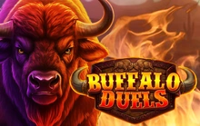 Buffalo Duels - Poggiplay