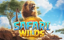 Safari Wilds - Pgsoft_infin