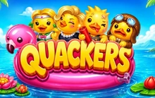 Quackers - Elk