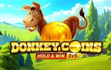 Donkey Coins Hold and Win - Yggdrasil