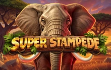 Super Stampede - Betsoft