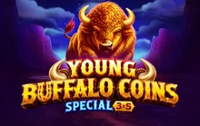 Young Buffalo Coins Special - Evoplay