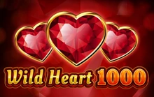 Wild Heart 1000 - Fazi