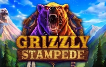 Grizzly Stampede - Elk