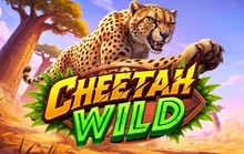 Cheetah Wild - Pragmatic