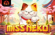 Miss Neko - St8_amigo_gaming