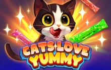 Cats Love Yummy - Bgaming