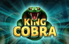 King Cobra - St8_booming_games