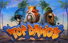 Top Dawg$ - St8_relax_gaming