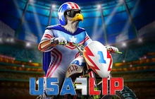 Usa Flip - St8_play_n_go