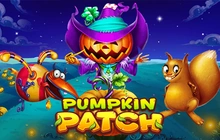 Pumpkin Patch - St8_habanero