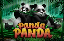 Panda Panda - St8_habanero
